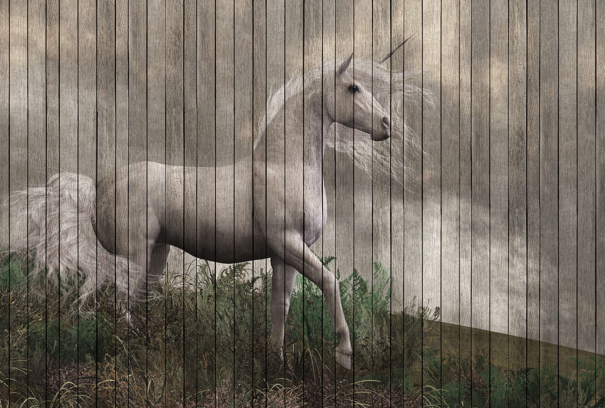 Tier, Colt Horse, Pferd, Säugetier