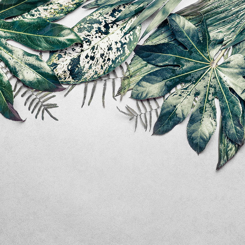 Blatt, Pflanze, Vegetation, Fische, Kunst