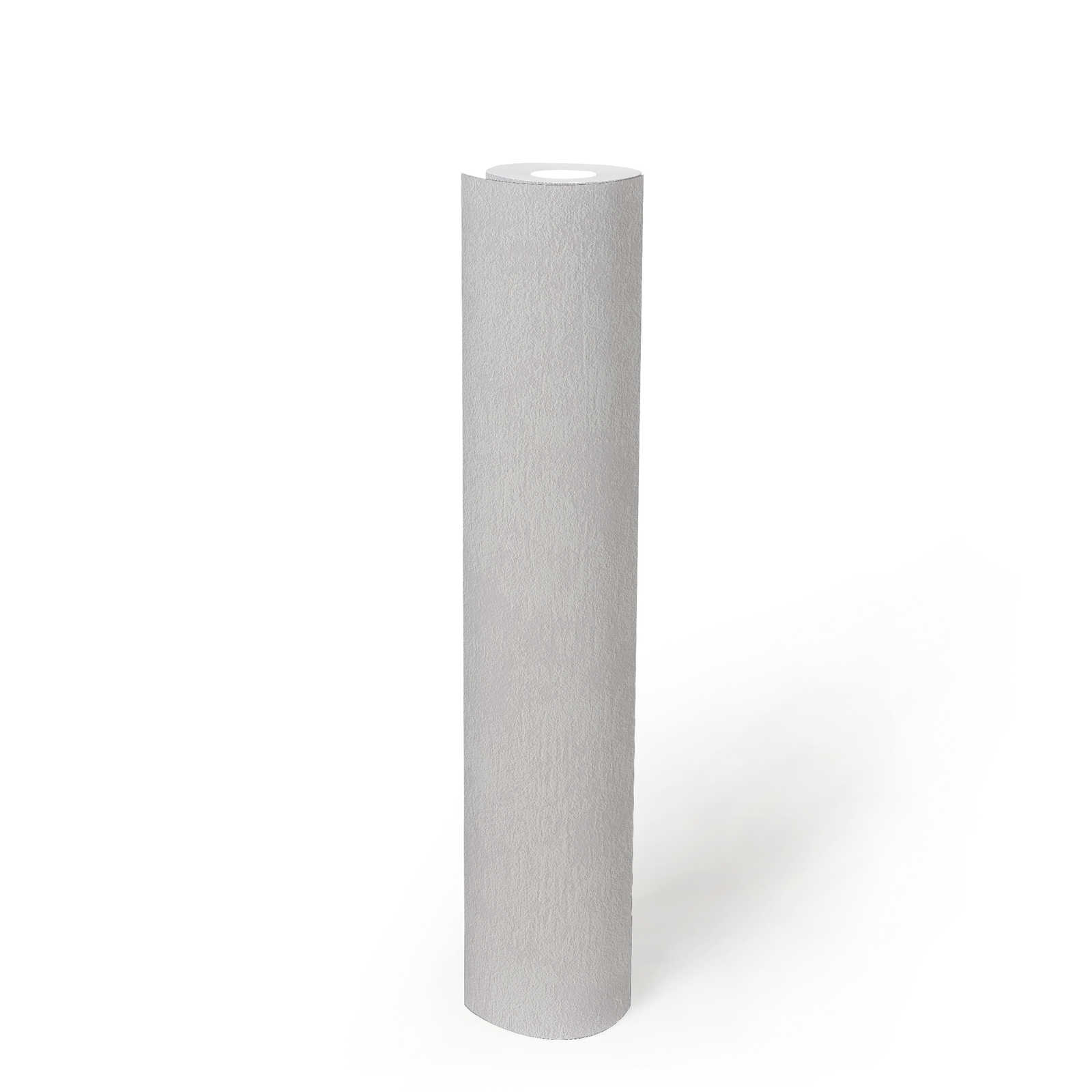             Vliestapete mit Putzstruktur & Textureffekt – Beige
        