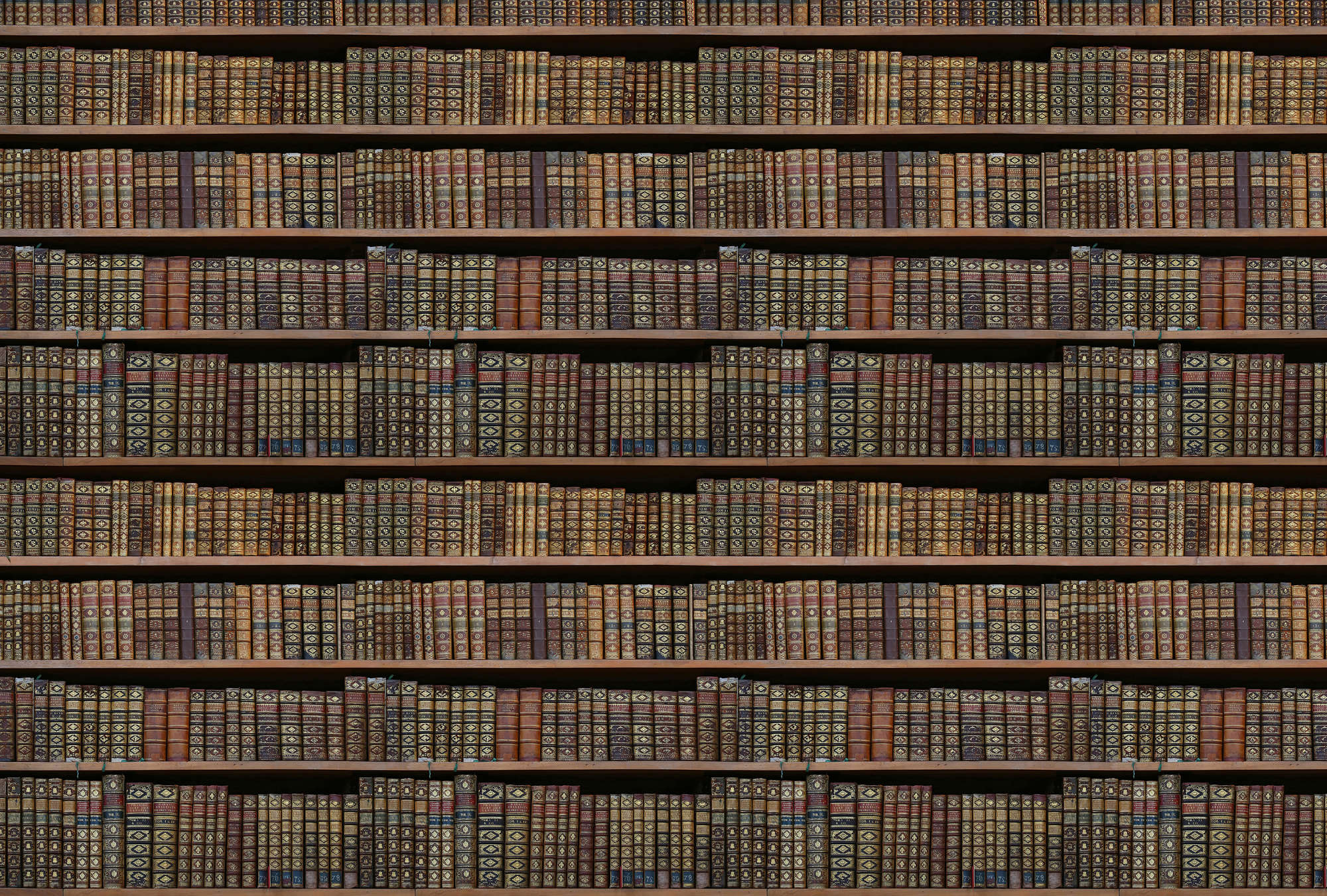 bücher, regale, alte bücher, bibliothek, rückseiten