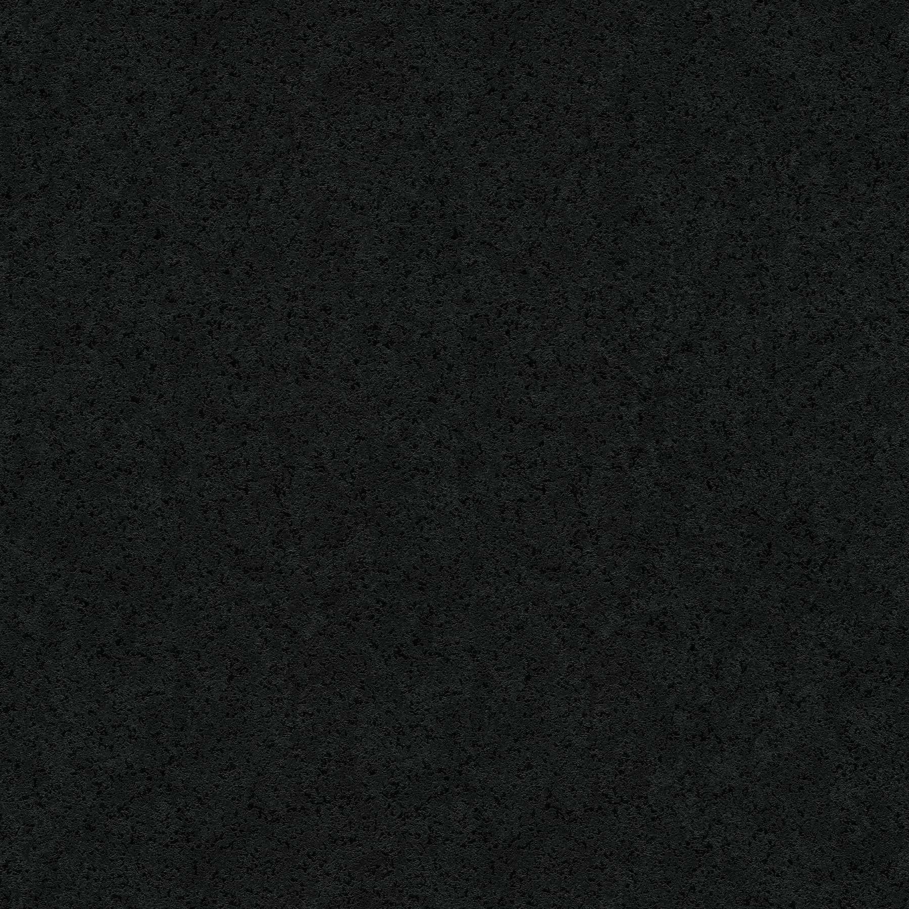         Zwart vliesbehang monochroom met textuurpatroon
    