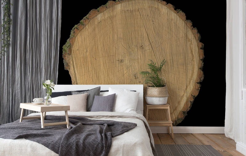             Naturdesign Fototapete – Vliestapete in 3D Optik mit Baumscheiben Motiv – Braun, Schwarz
        
