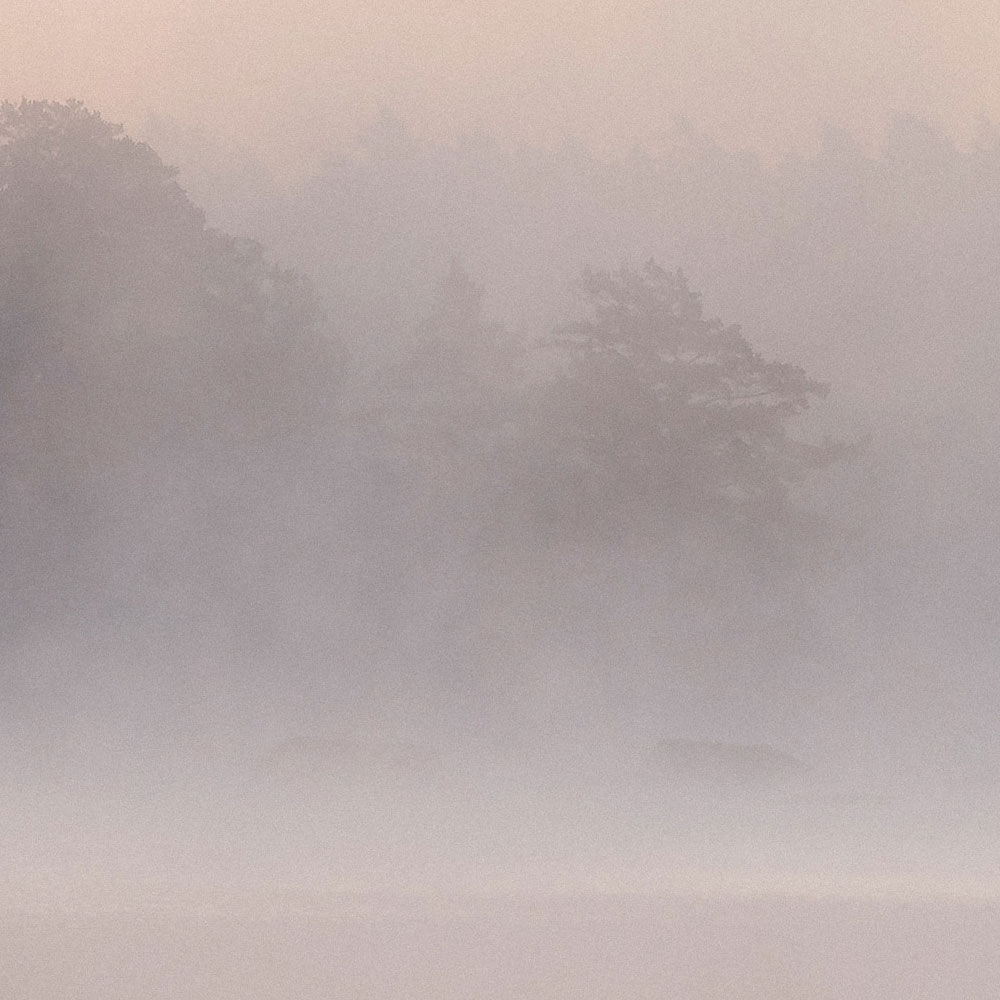 Natur, Im Freien, Wetter, Nebel, Winter