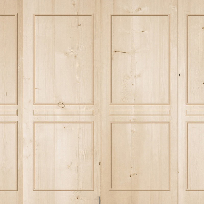 kitchen cabinet, wood panel, beige color, paneled door, board