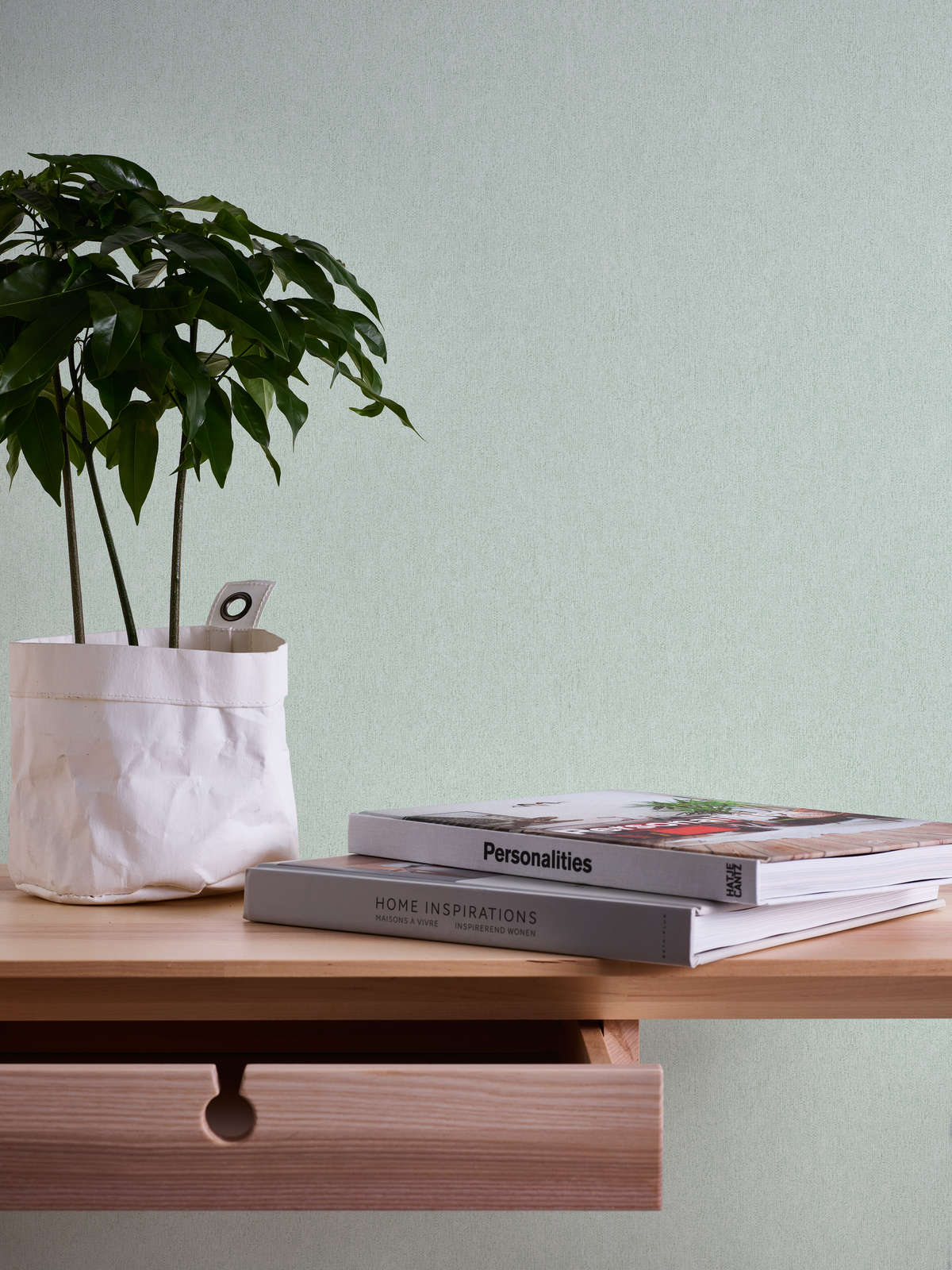 Potted plant, grüner Pflanze, Schreibtisch-Dekoration, Magazin-Stapel, weiße Pflanzentopf
