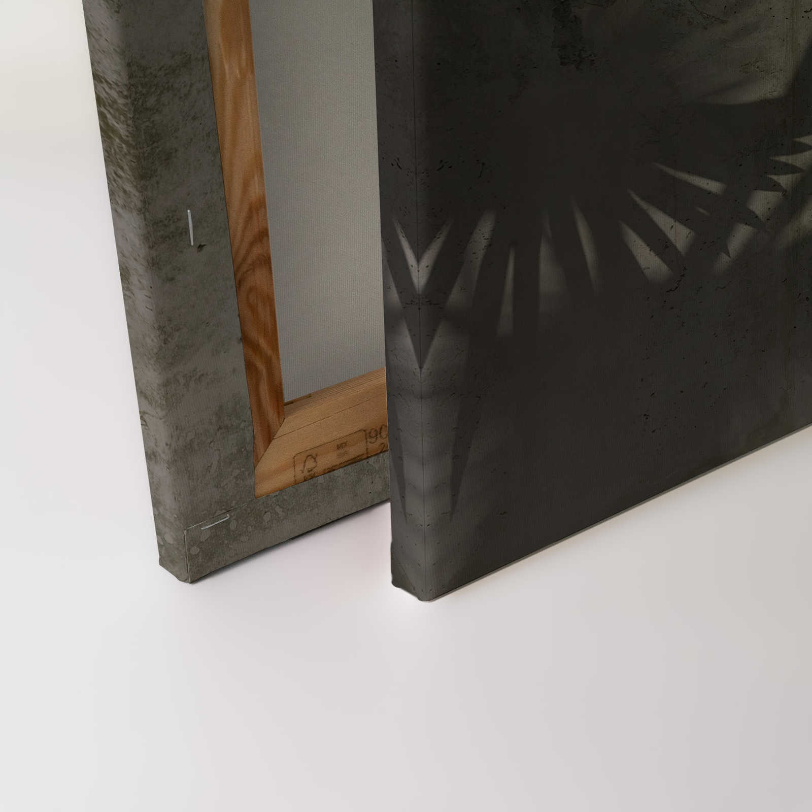             Leinwandbild Schatten von Palmenblättern auf Betonwand – 0,90 m x 0,60 m
        
