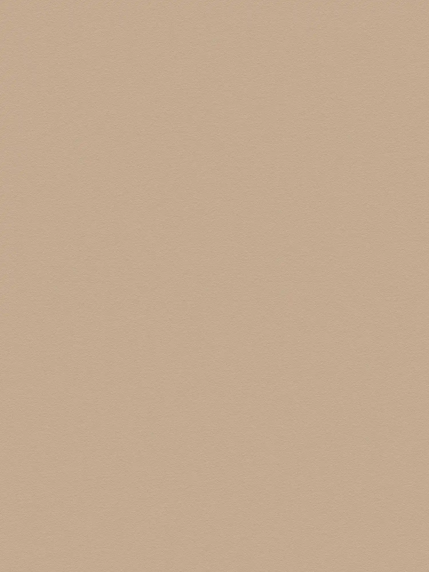         Plain wallpaper light brown with smooth surface - beige, brown
    