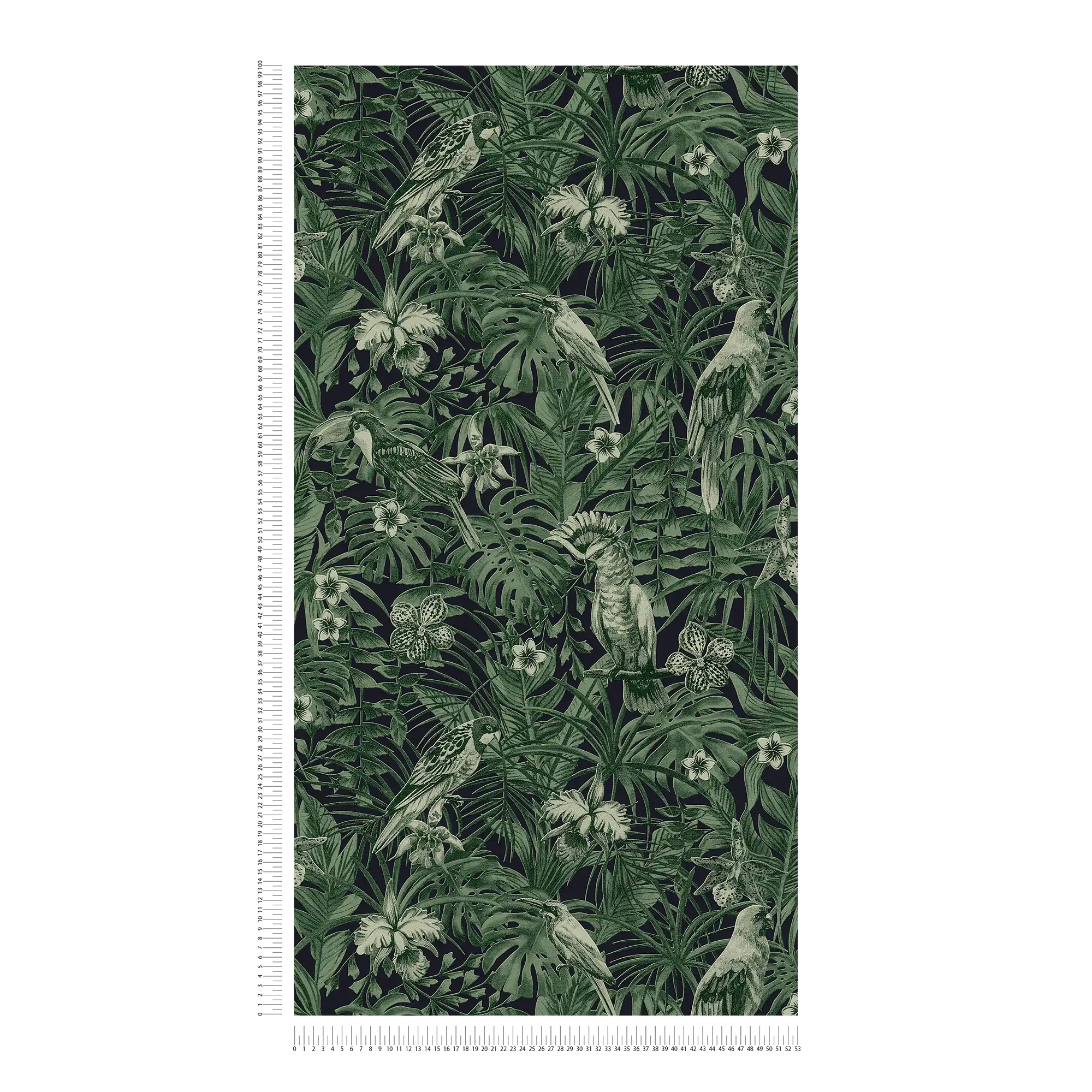             Tapete tropische Vögel & exotische Blüten – Grün, Schwarz
        