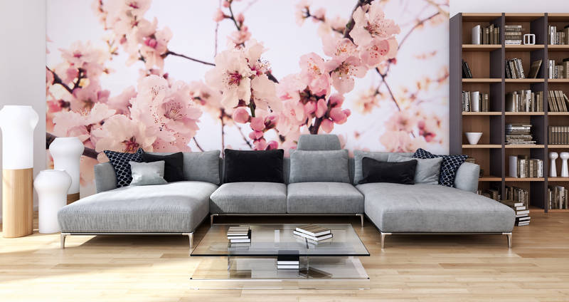 wohnzimmer, sofabezug?, couɀ?, tisch?, bücherregal?