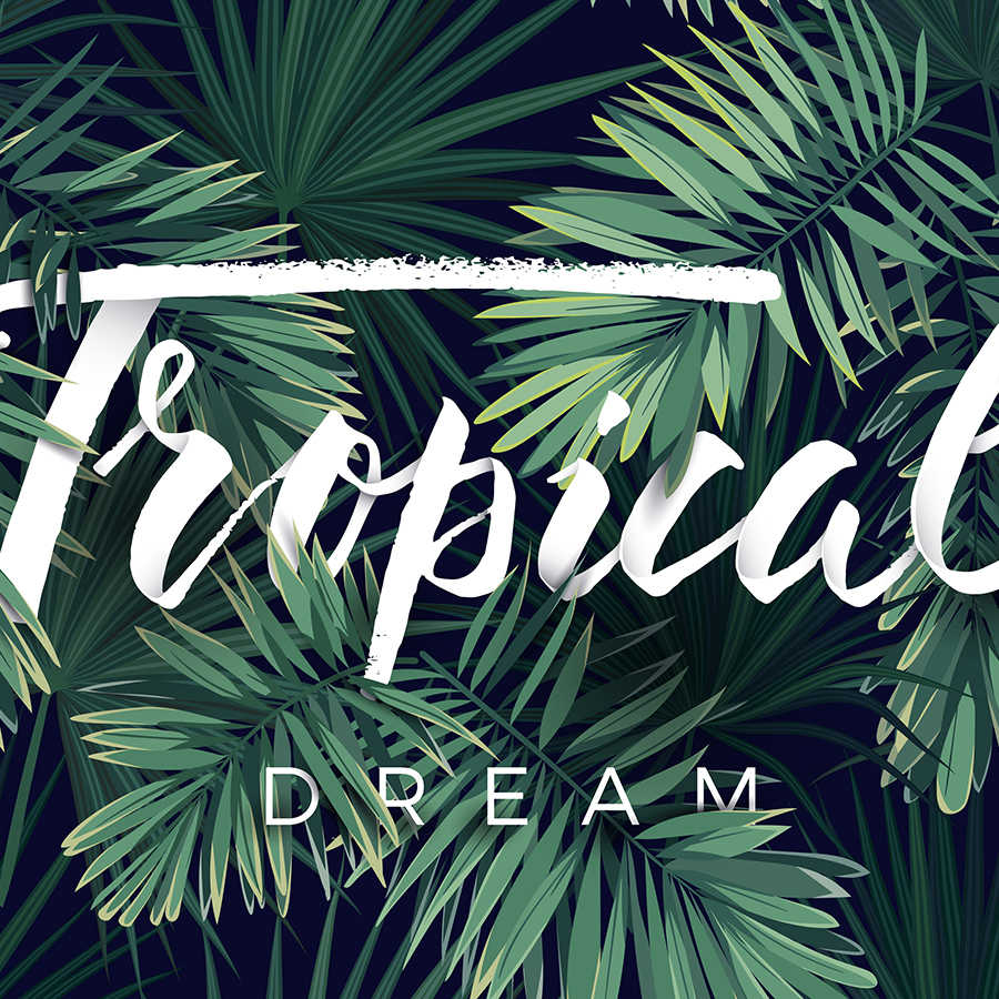 tropical, palme, blätter, traum, logo