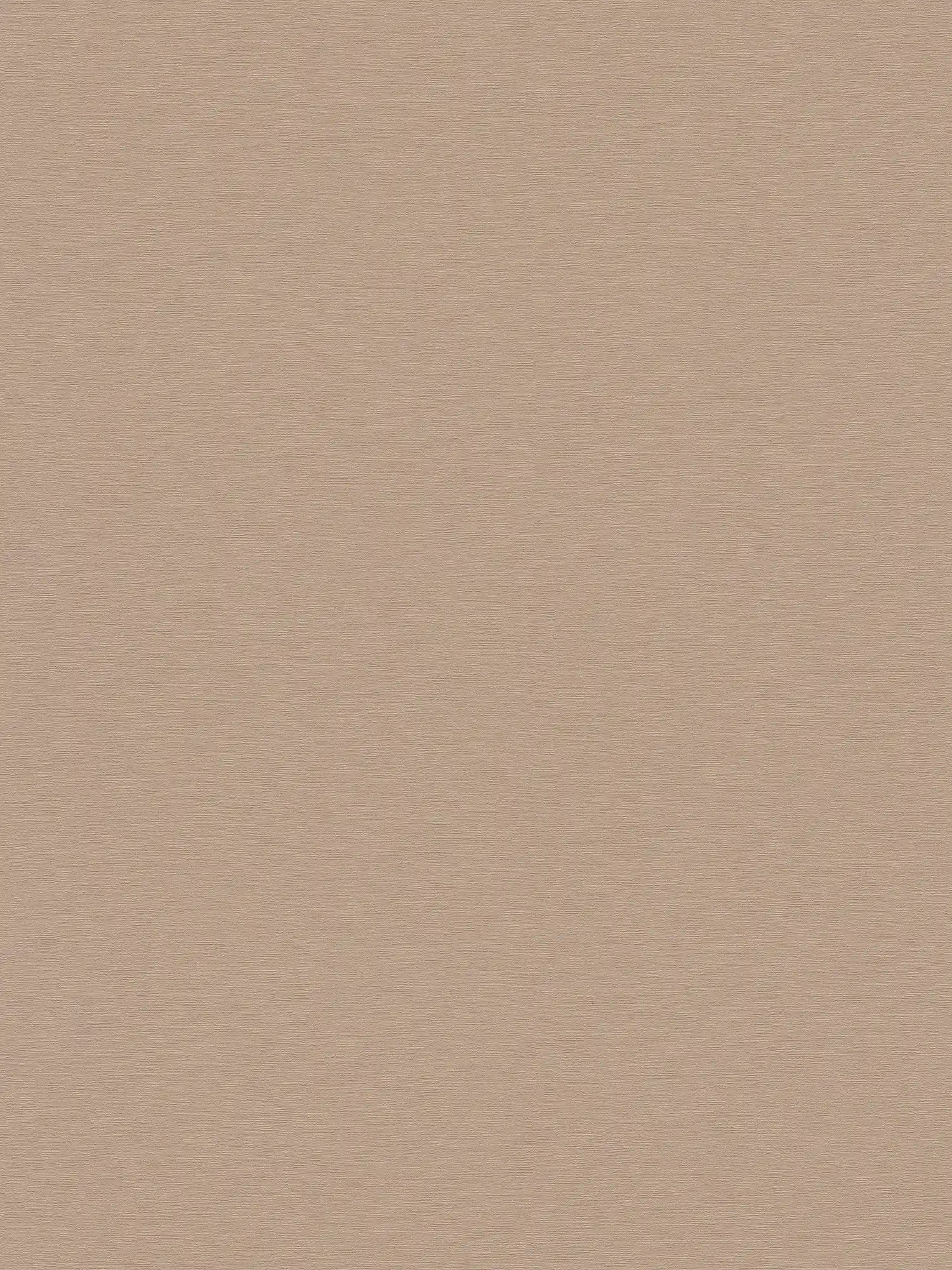 papier peint en papier intissé uni à texture fine - marron, gris