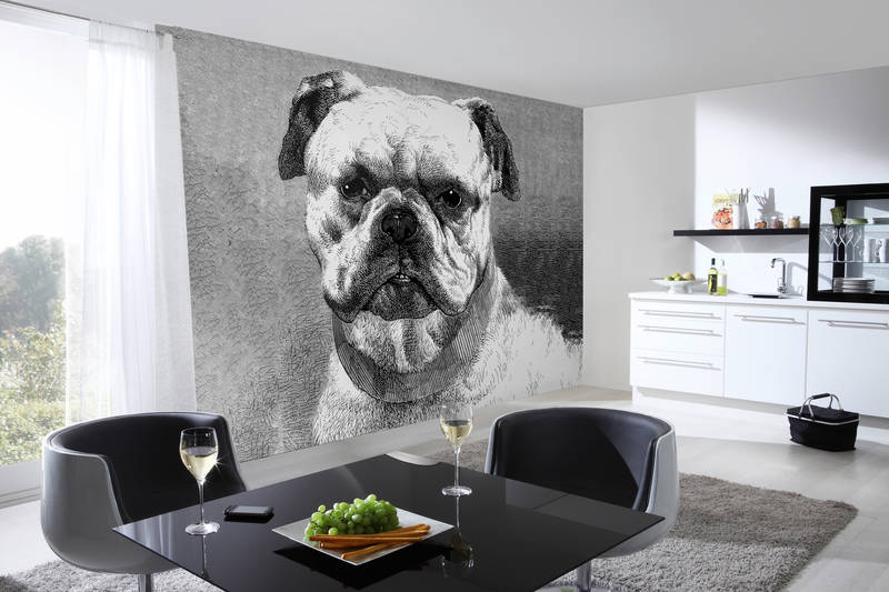 Fleischhunde Wandbild, Hundewandtapete, Großes Portrait, Haustiermotiv, Schwarz-Weiß Muster