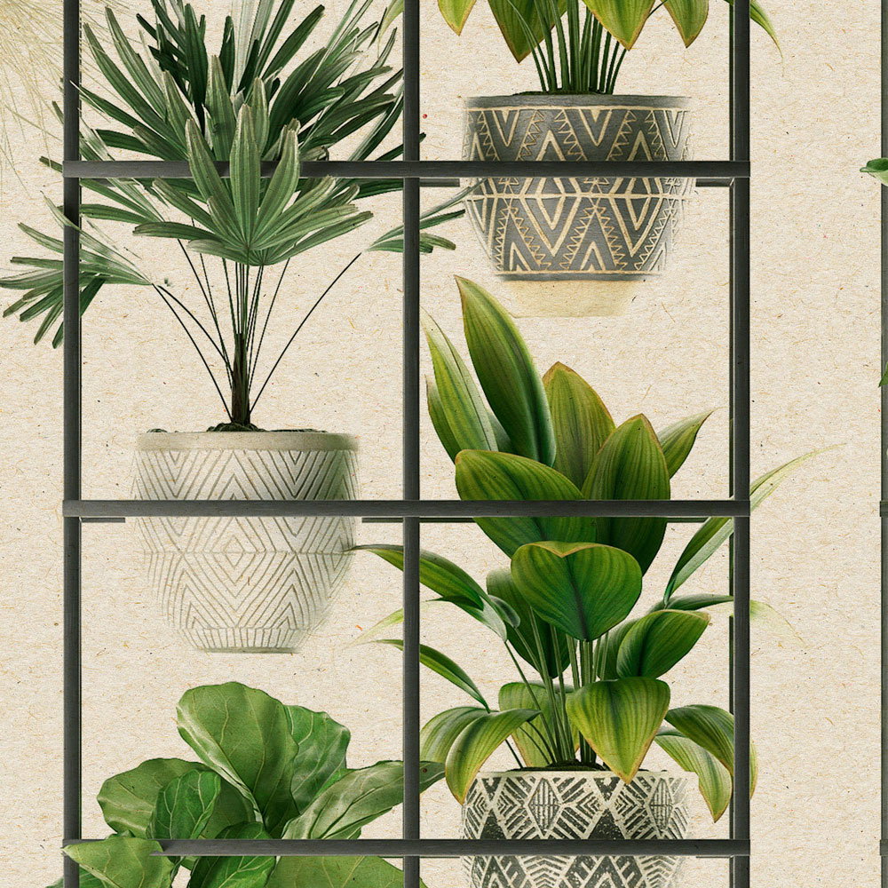 Pflanze, Pflanze im Topf, Pflanzgefäß, Vase, Blatt