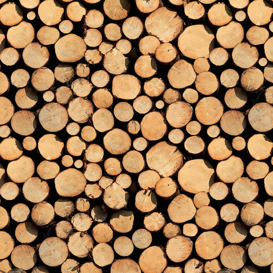Holzstämme, Holzstapel, Baumstämme, Rundschnitt, Kahlschlag