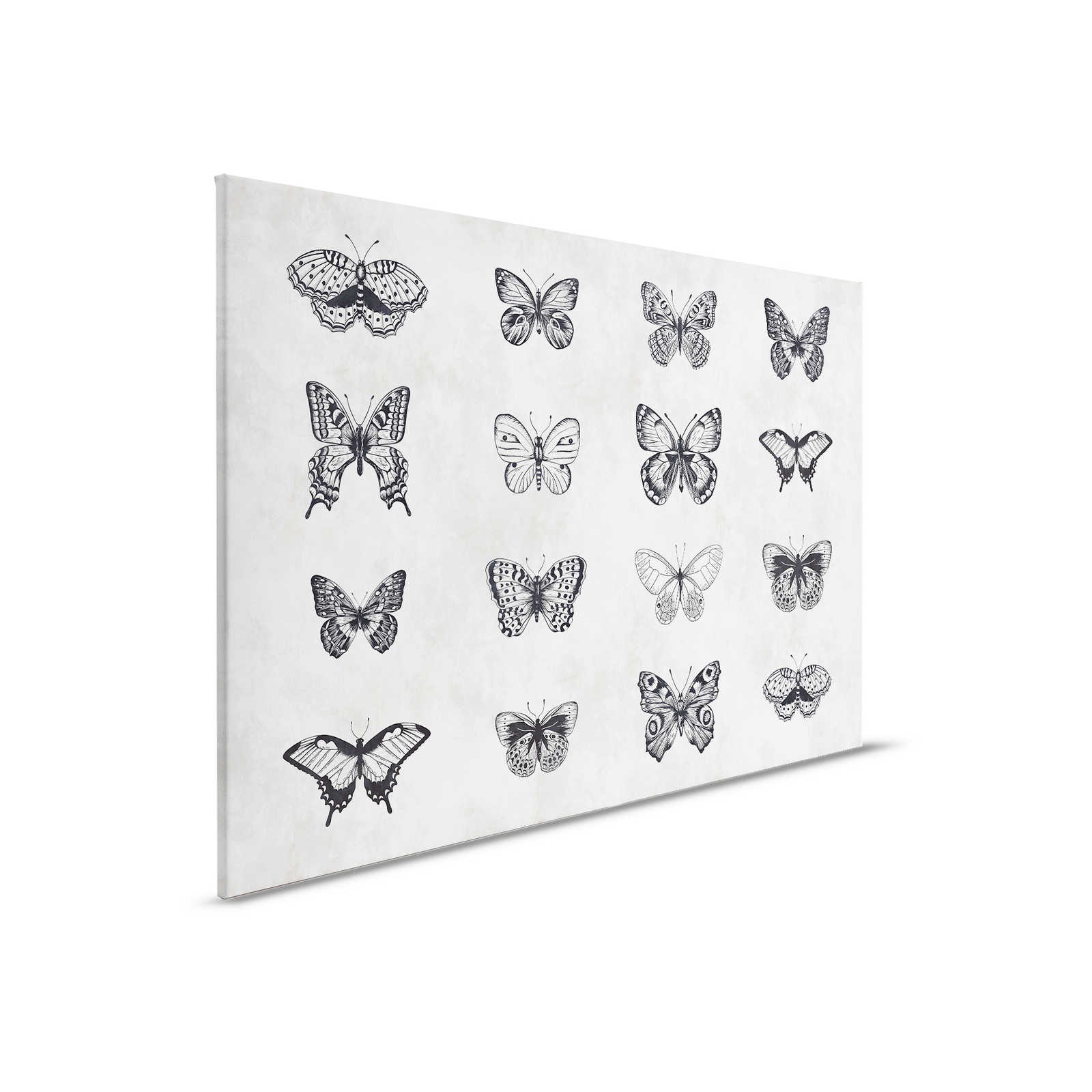         Papillon toile noir et blanc dessins - 0,90 m x 0,60 m
    
