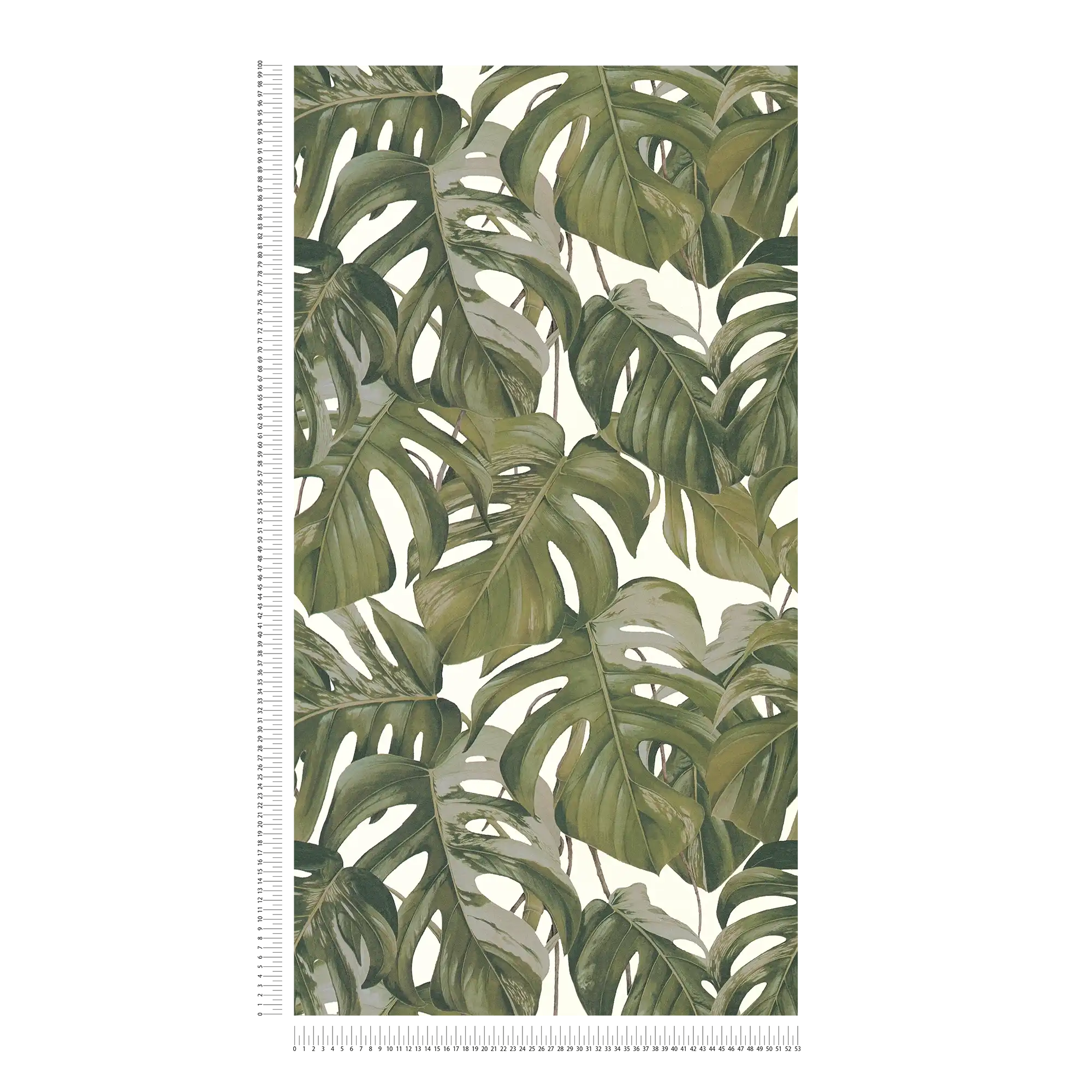             Non-woven wallpaper Monstera leaves pattern - grey, green, white
        