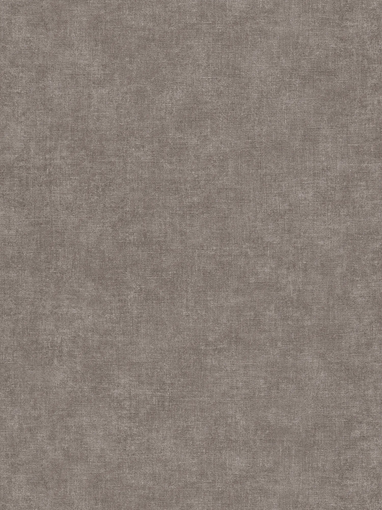             Unitapete in Putzoptik mit leichter Struktur – Grau
        