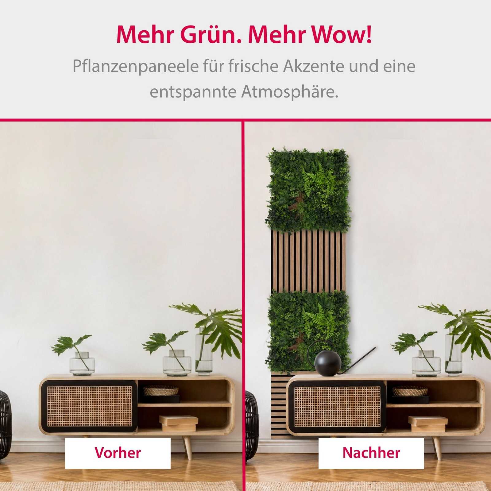 Zimmerpflanze, Wandbegrünung, Holzkonsole, Topfpflanzen, Grasmatte?