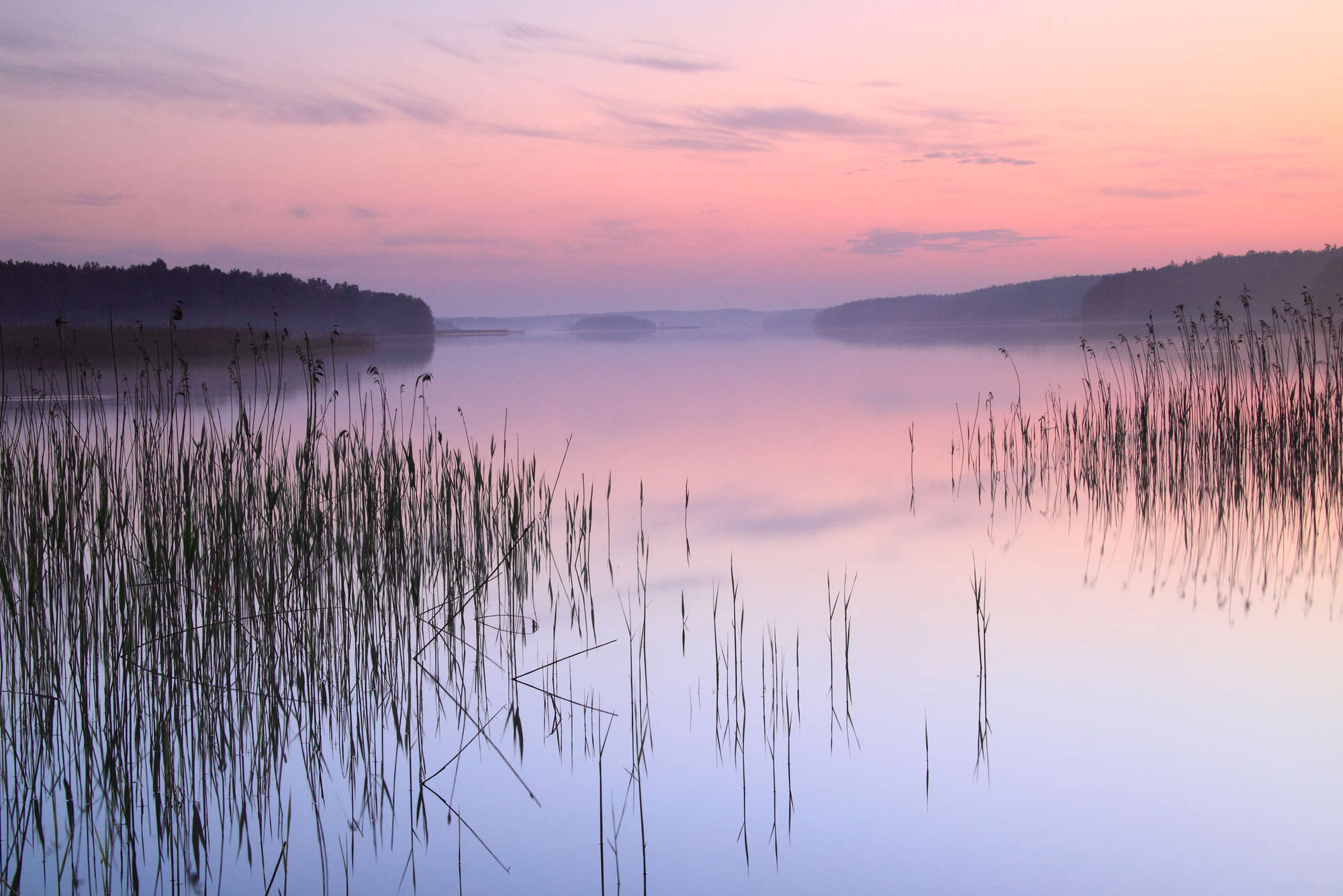             Natur Fototapete See mit Schilf am Abend auf Strukturvlies
        