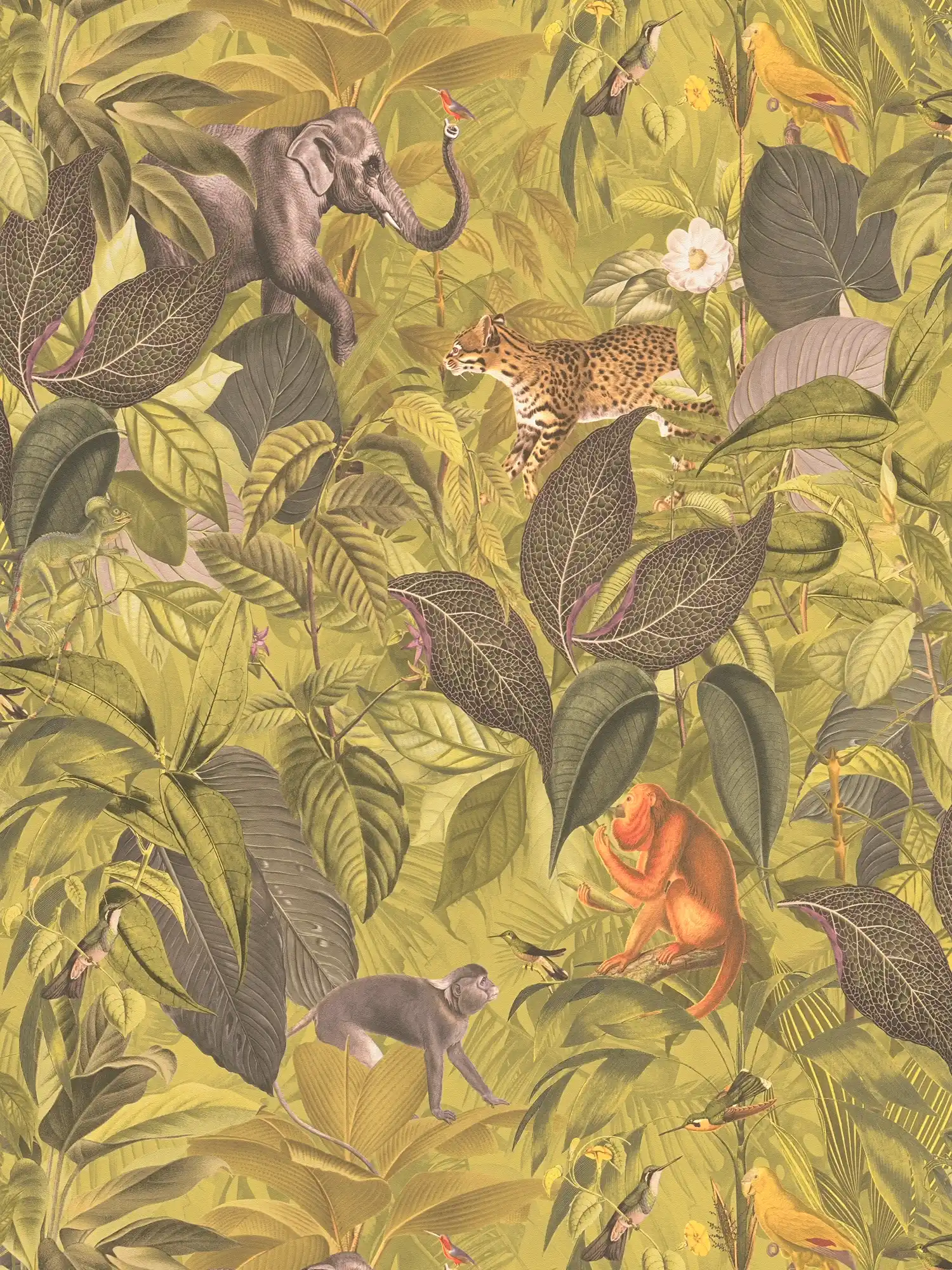         Papier peint jungle avec animaux, motif enfant - marron, vert
    