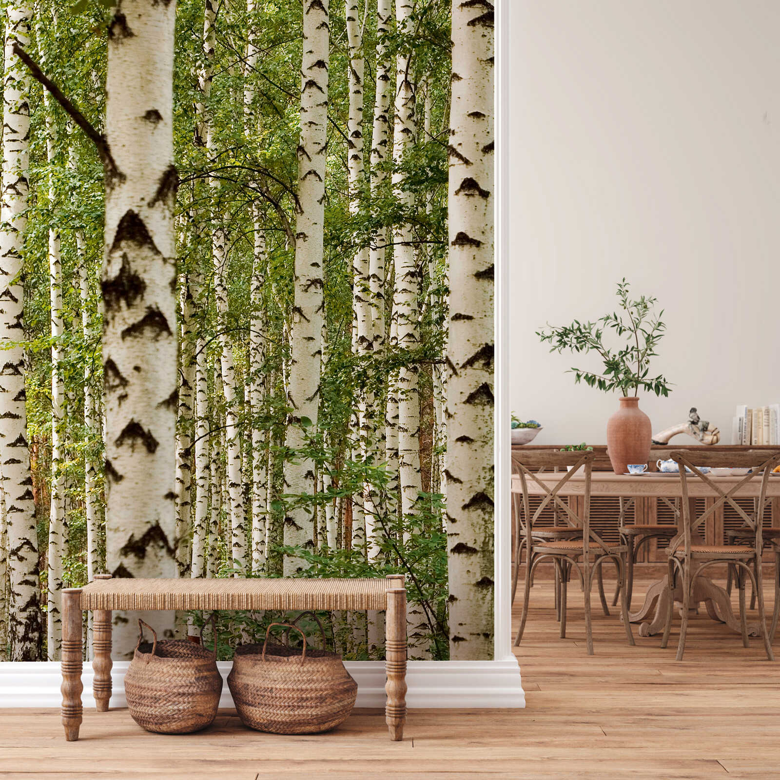         papier peint en papier panoramique forêt de bouleaux avec une touche scandinave comme papier peint intissé - multicolore
    