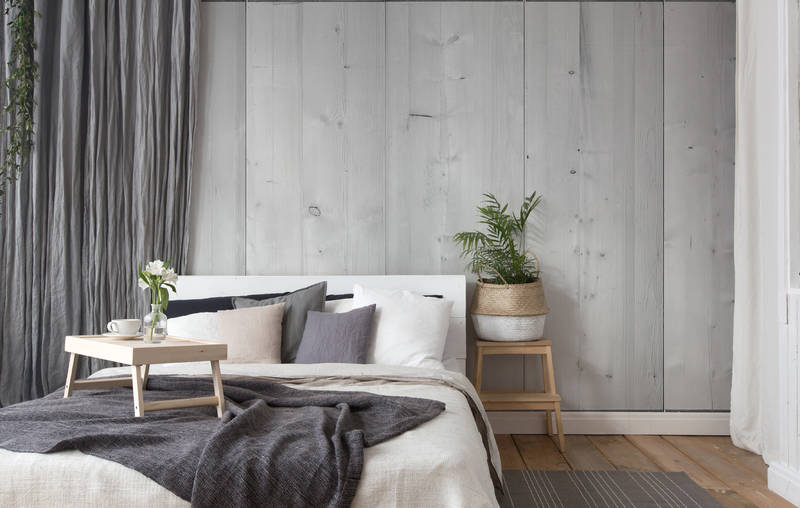 bett, bettwäsche, sofa-bett, kissen, pflanze