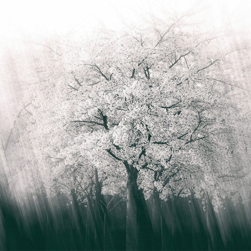         Architects Paper Fototapete AP Digital 4
    