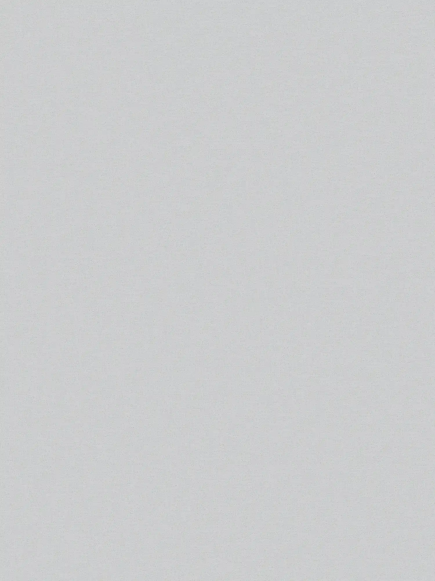         Vliestapete Grau von MICHASLKY, einfarbig mit Textilstruktur
    