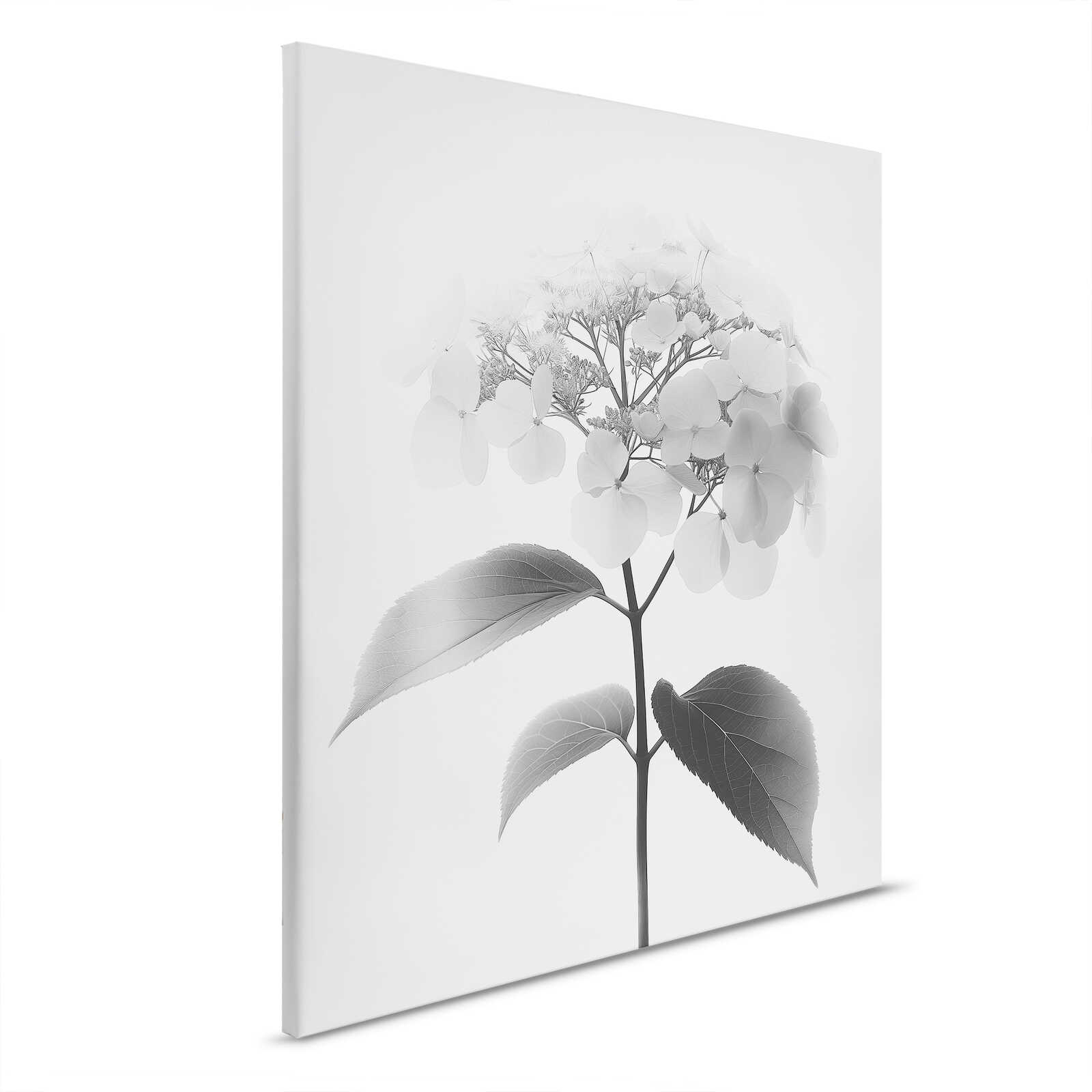         Canvas foto delicate hortensia bloesem - Minimalistische elegantie - 40 x 50 cm - Zwart, Grijs
    