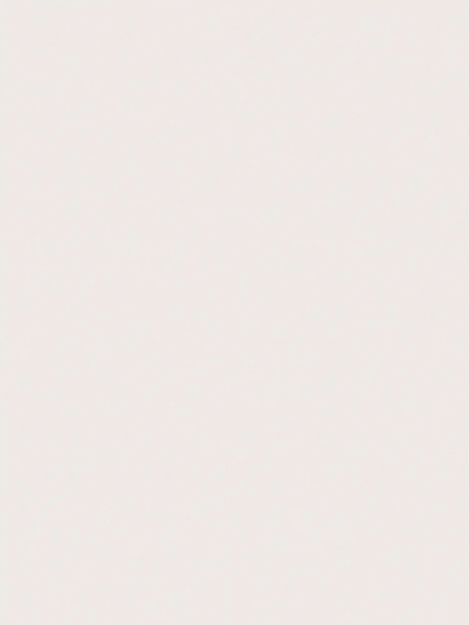         XXL Vliestapete - 'Das Uni' von Tapetenshop - 1,06m Doppelbreite - einfarbig und dezent strukturiert – Zartrosa
    