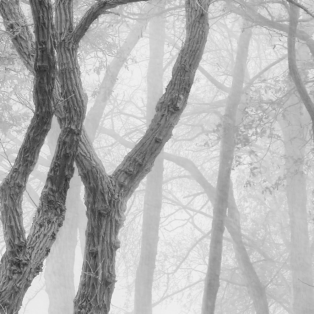             Architects Paper Fototapete AP Digital 4
        