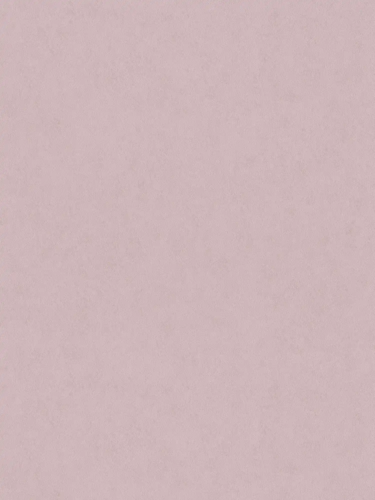         Plain non-woven wallpaper - purple
    