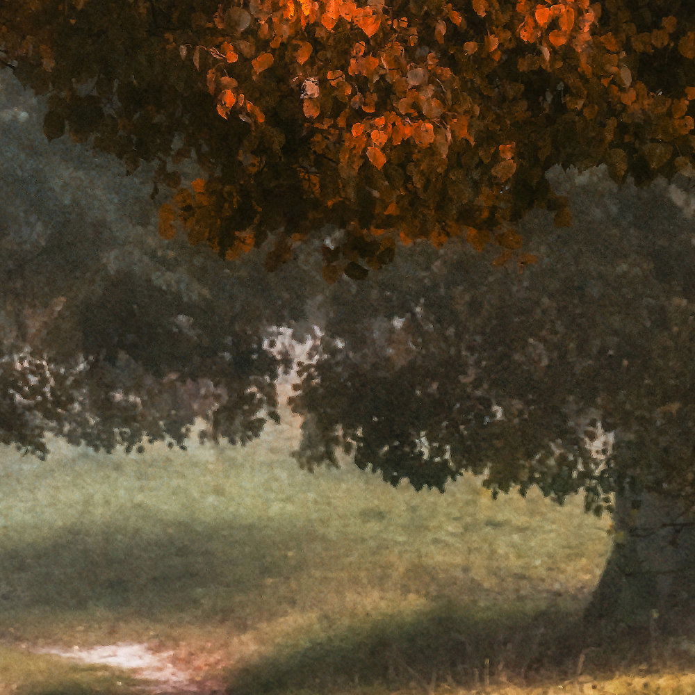             Architects Paper Fototapete AP Digital 4
        