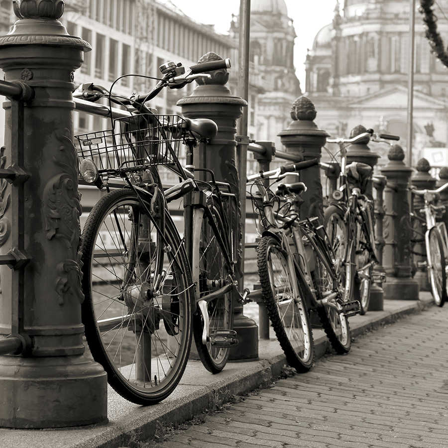 Fahrrad, Stadtbild, Laufrad, Korb vorne, Schloss/Metallpfosten