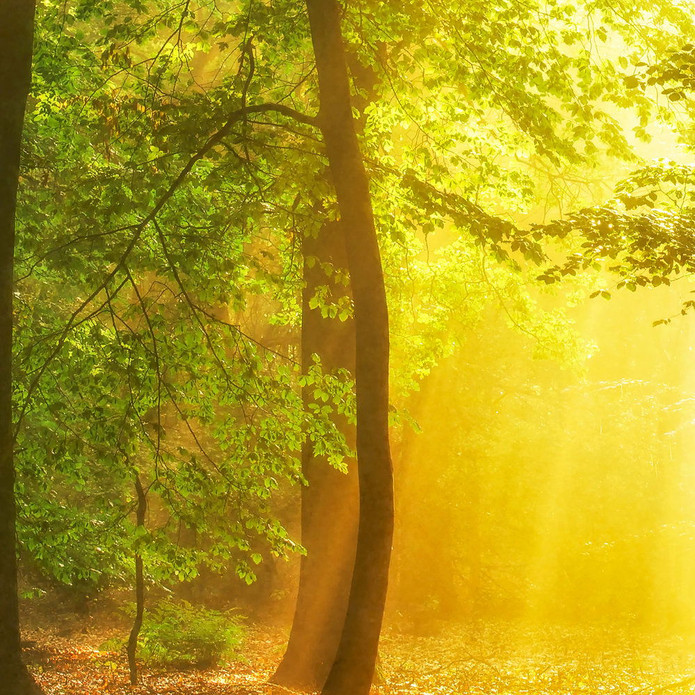             Architects Paper Fototapete AP Digital 4
        