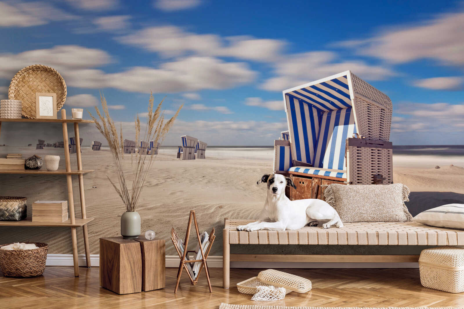 sandstrand, Stranddekoration, Hund vorhanden, Outdoor-Möbel, blau weiß gestreifter Kasten/Schirm
