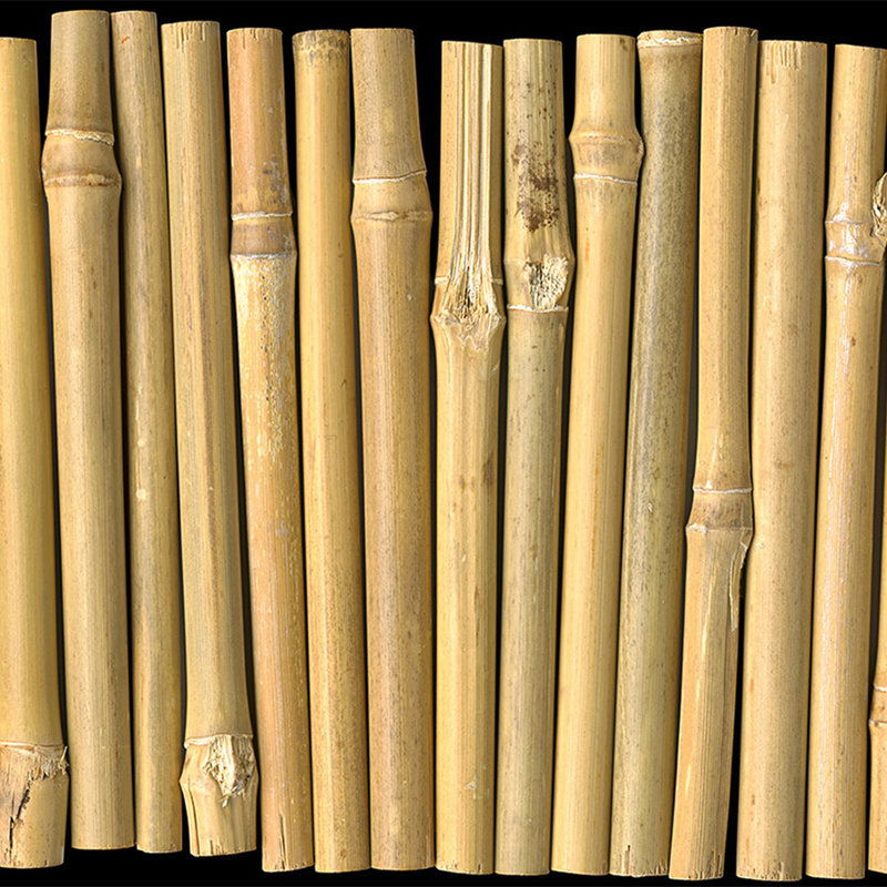             Exotische Bambus Fototapete – Vliestapete in 3D Optik mit Dschungel Flair – Beige, Braun
        