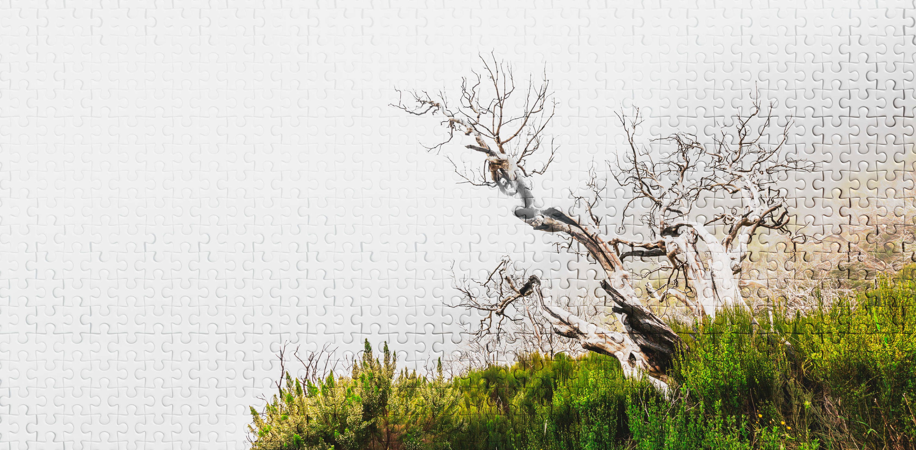 Baum, Baumstamm, Kunst, Malerei, Holz
