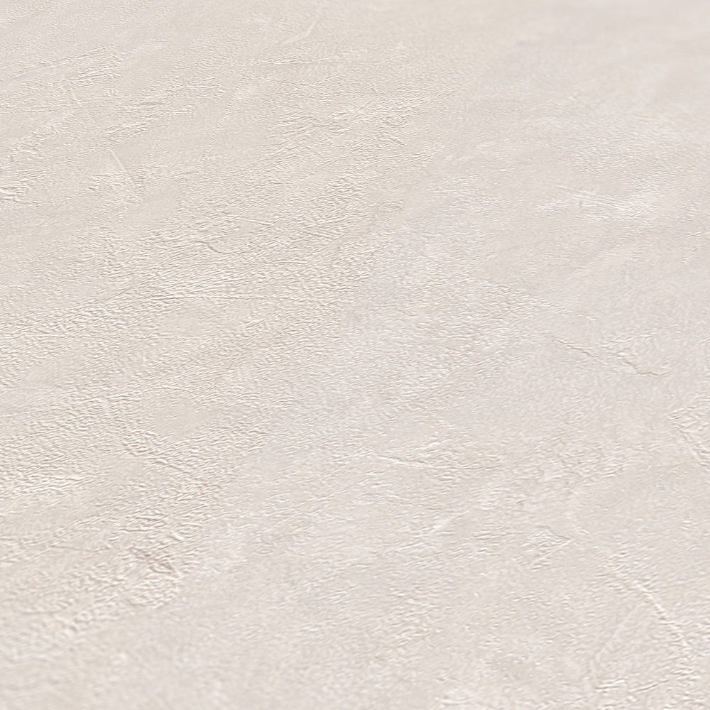             Putz-Tapete einfarbig & strukturgemustert – Creme, Grau
        