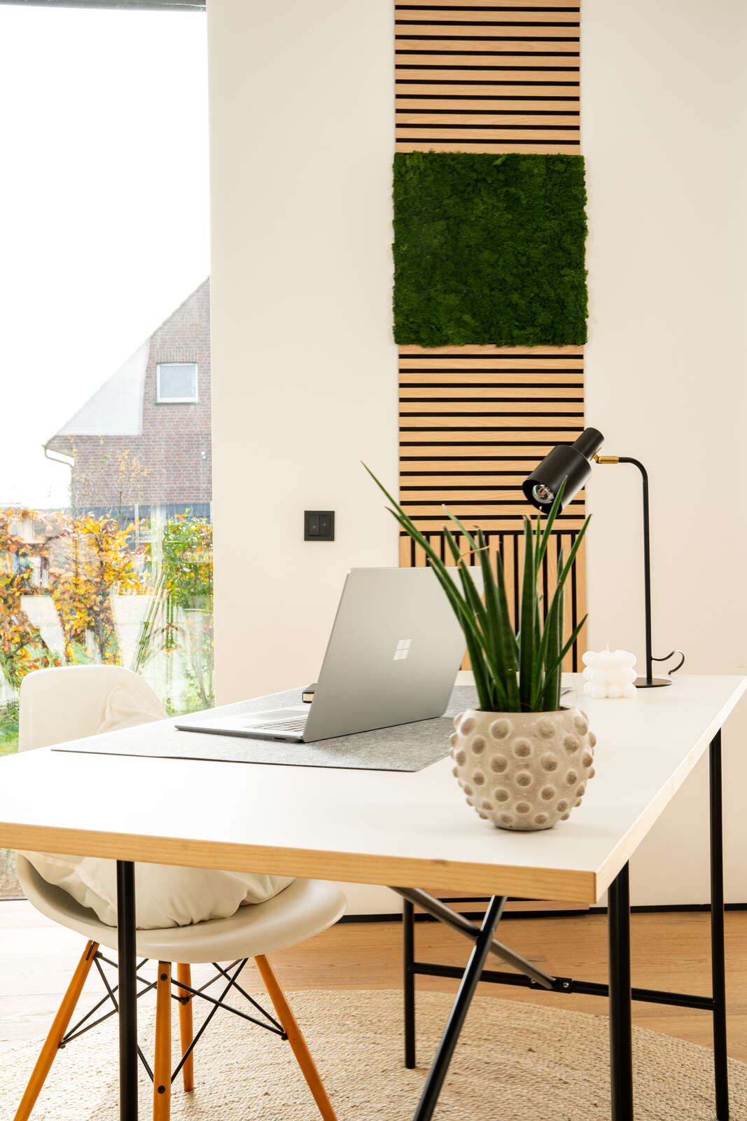 home-office, desk, laptop, pflanze, lampe