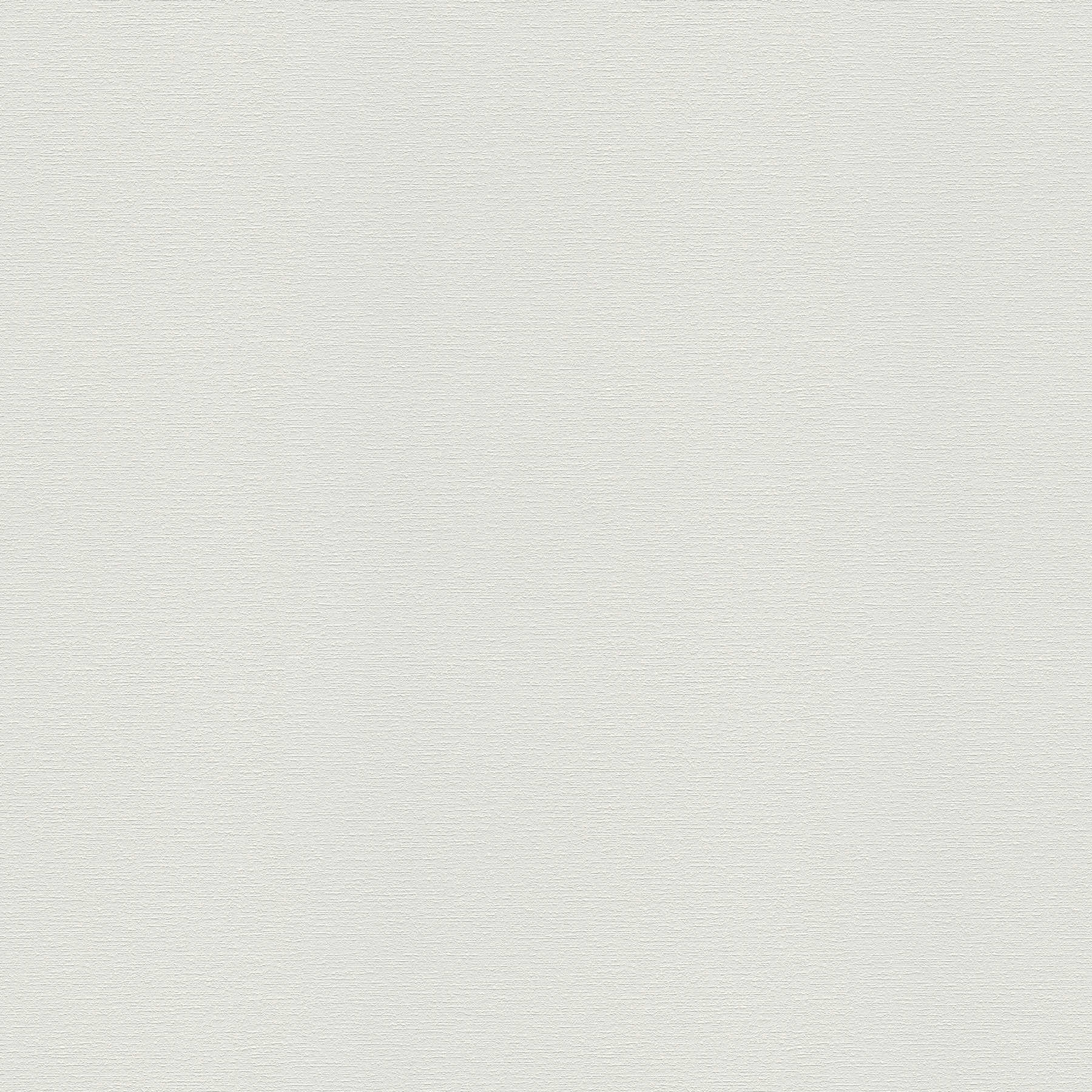         Weiße Vliestapete uni mit Strukturmuster
    