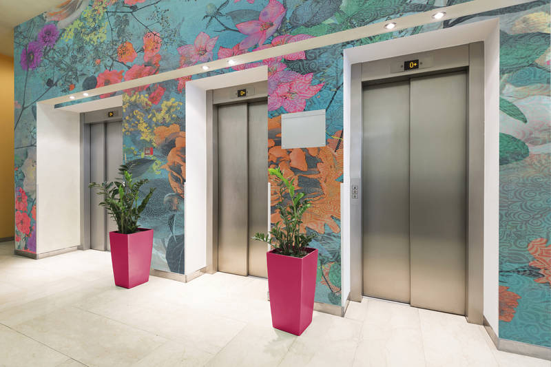 Drinnen, Innenarchitektur, Aufzug, Pflanze, Pflanze im Topf