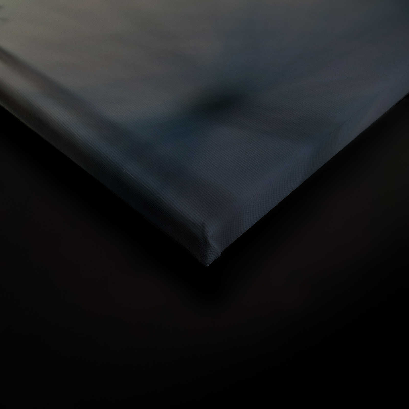             Leinwand Pusteblume & Sonnenuntergang – 0,90 m x 0,60 m
        