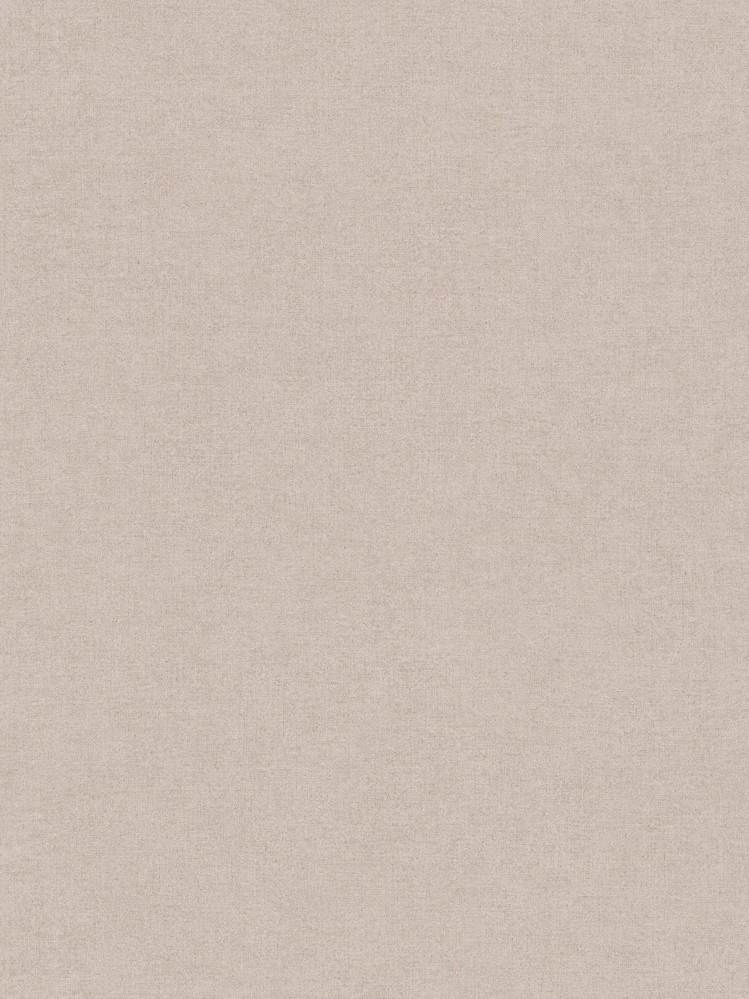             Blassbraune Tapete uni im Boho-Look
        