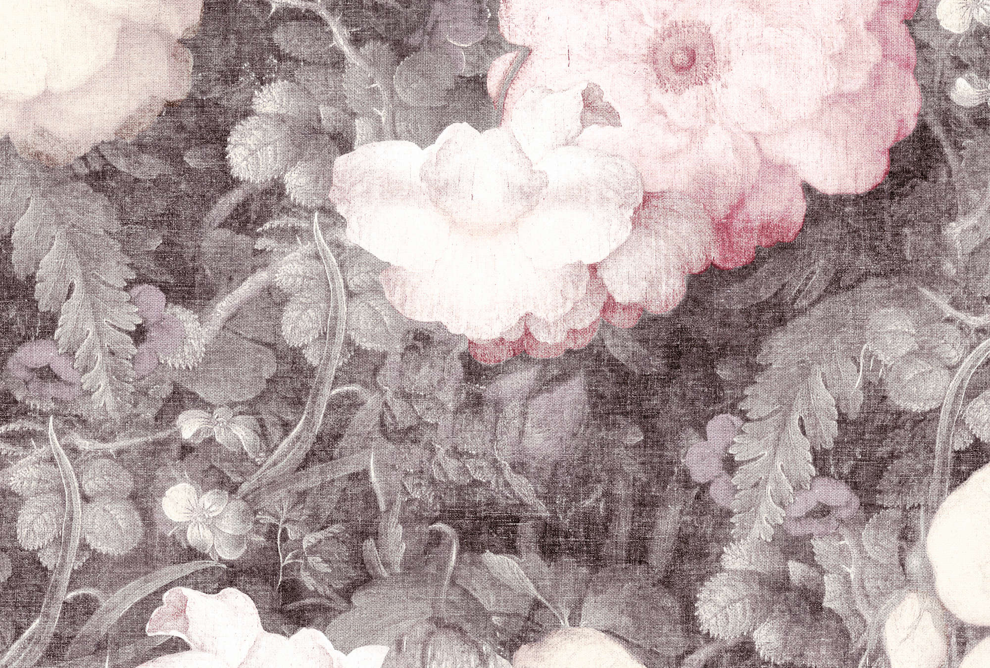 Kunst, Florales Design, Gemälde, Blume, Geranie