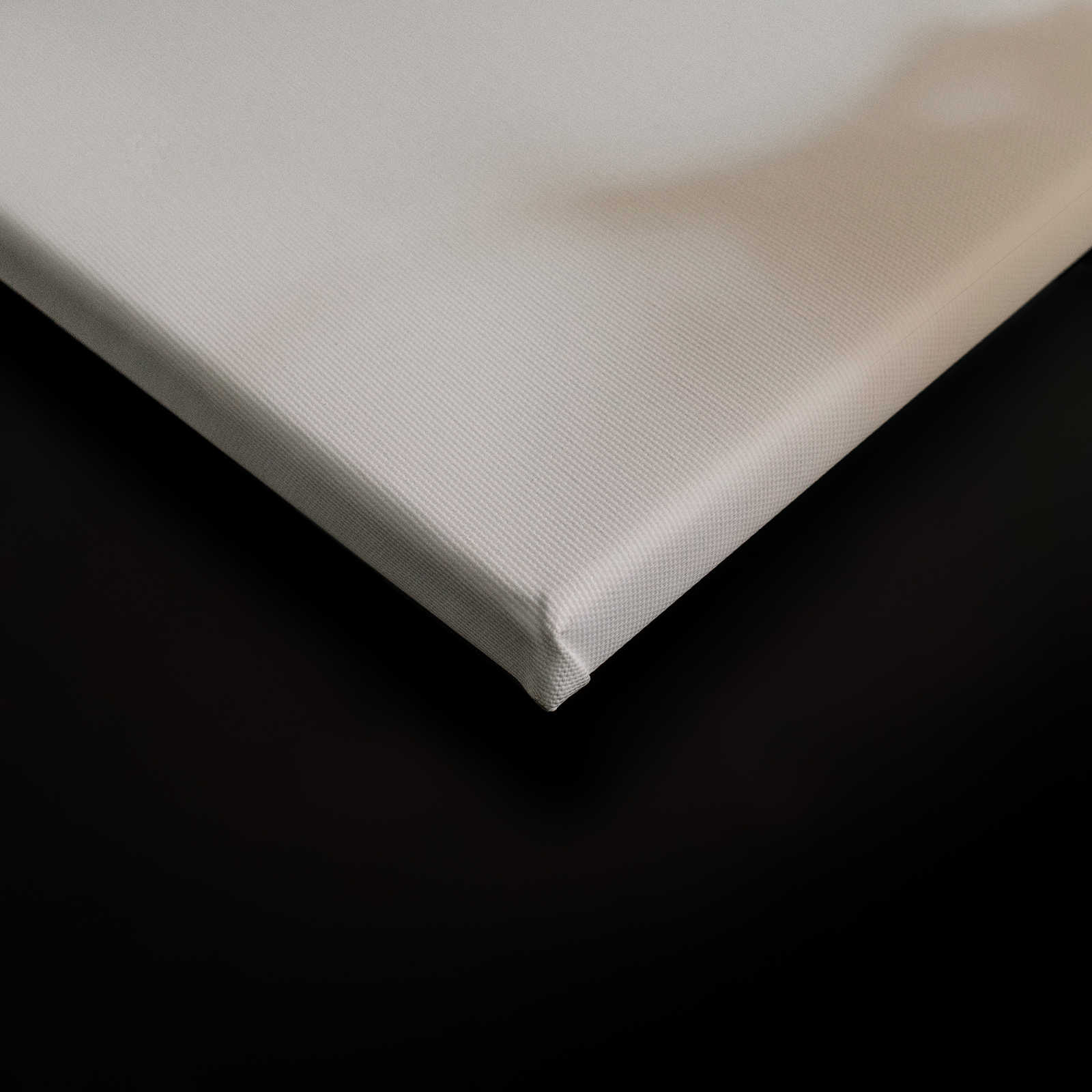             Light Room 3 - Leinwandbild Natur Schatten in Beige & Weiß – 0,90 m x 0,60 m
        