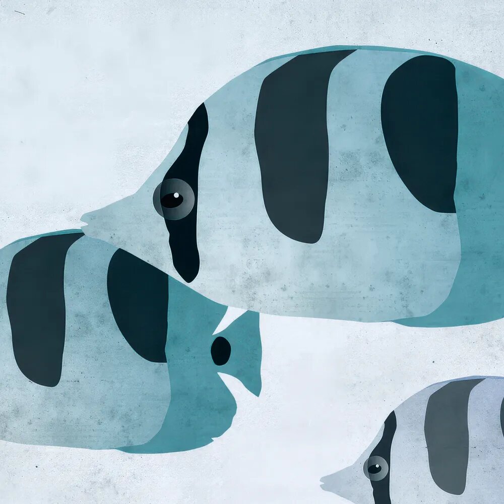 fisch, meerestiere, illustration, blau, auge