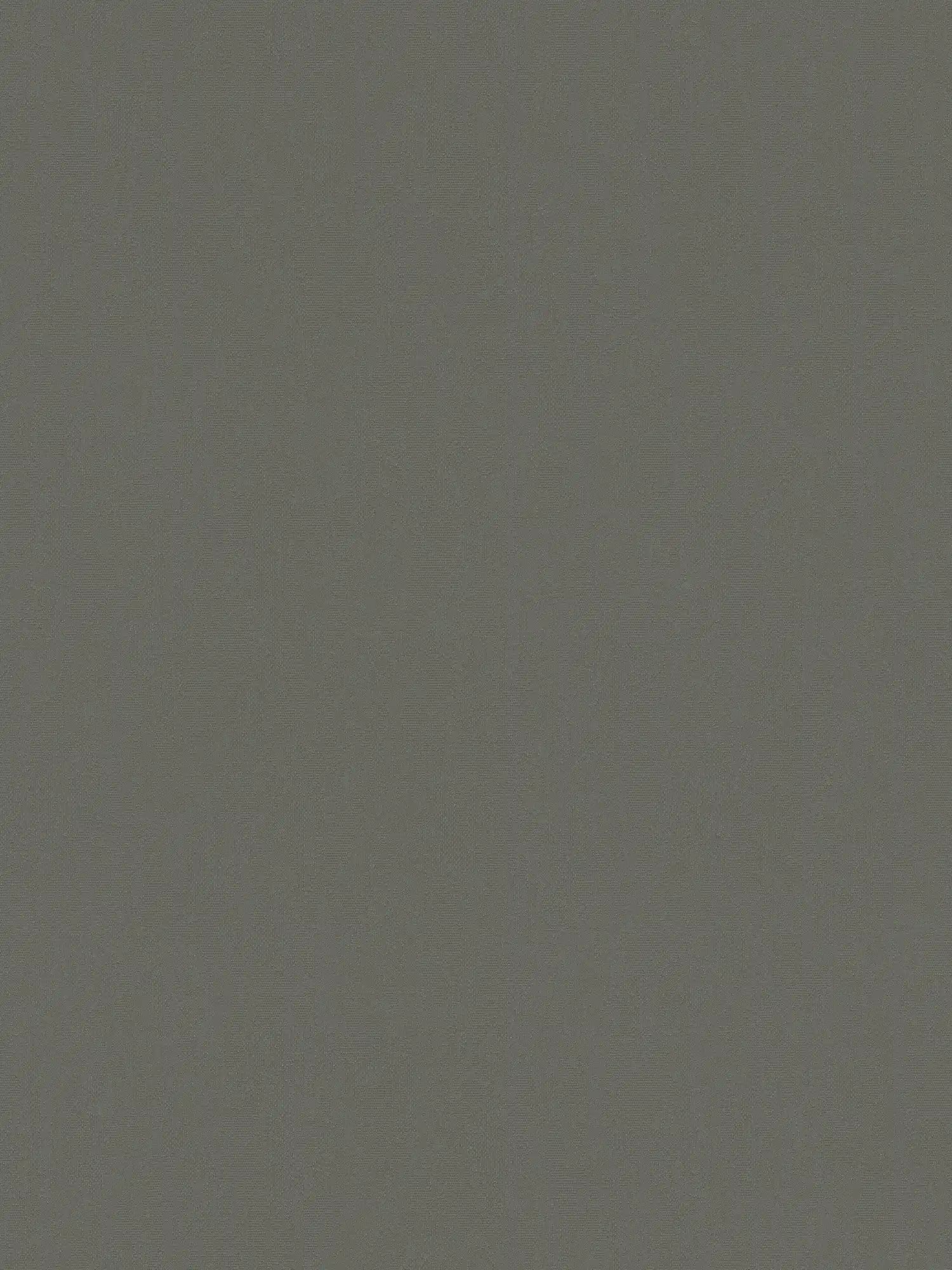             Vliestapete dunkles Khaki einfarbig, seidenmatt Finish – Grau
        