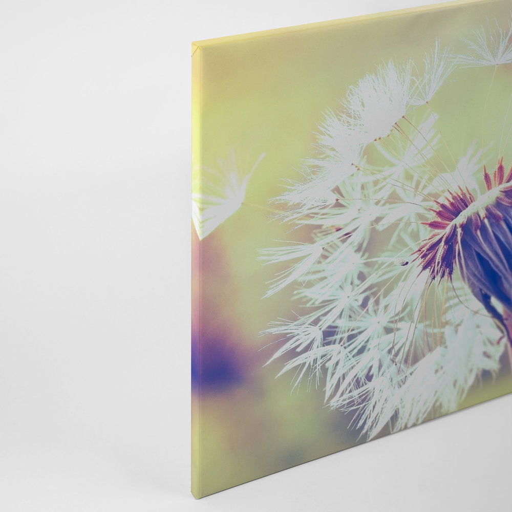             Leinwand mit Pusteblume Bildmotiv | Blau, Violett, Weiß – 0,90 m x 0,60 m
        