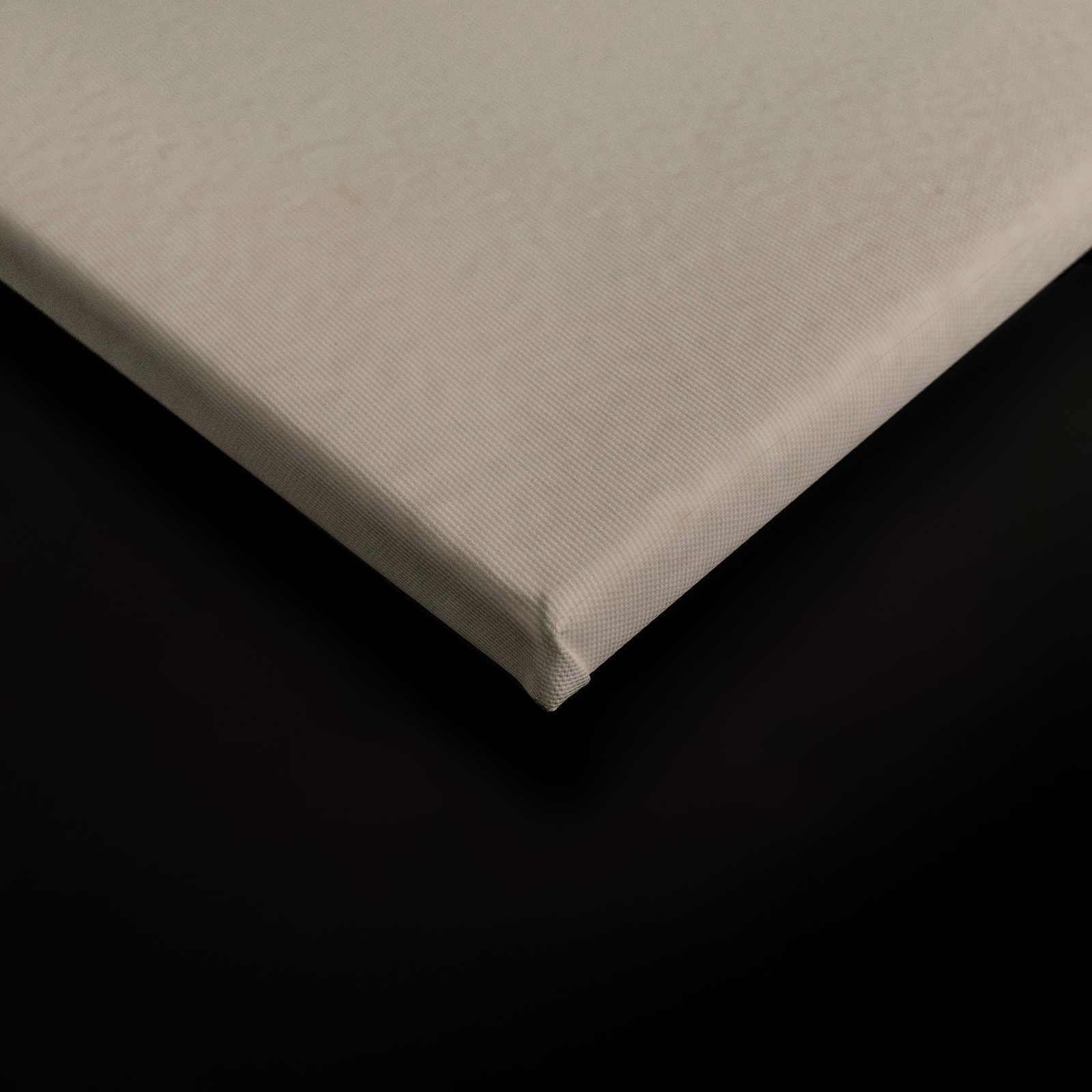 Leinwandbild mit Palmblatt und Schatten an Betonwand – 0,90 m x 0,60 m